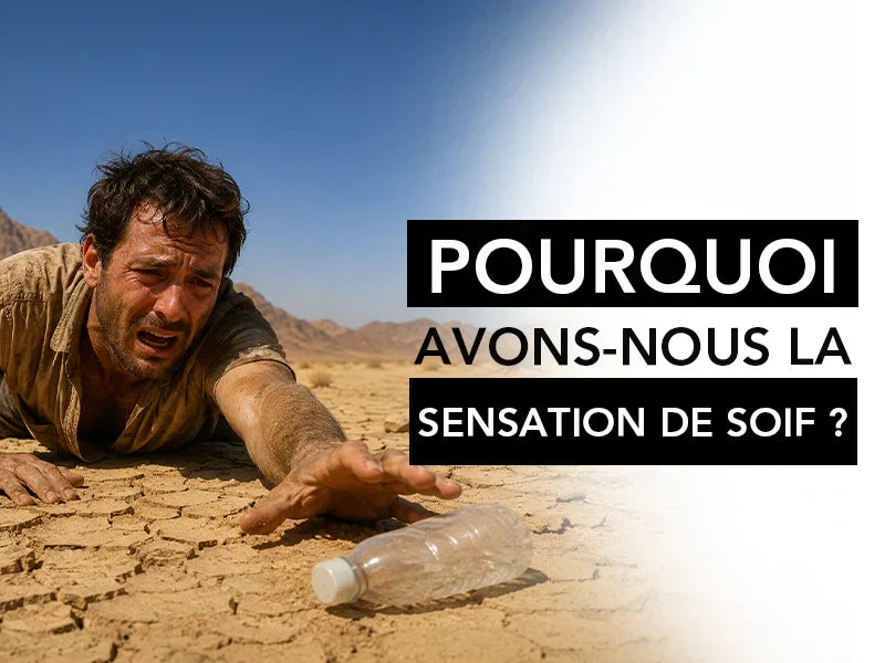 pourquoi avons nous la sensation de soif