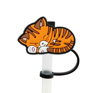 embout chat tigré