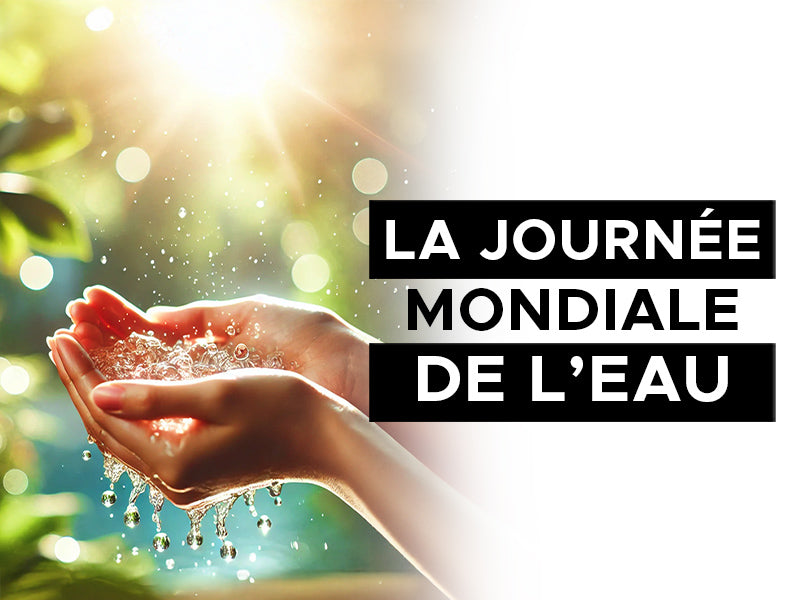 la journée mondiale de l'eau