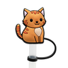 Protection paille chat orange