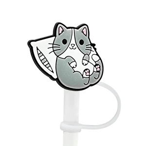 couvre paille chat sur oreiller